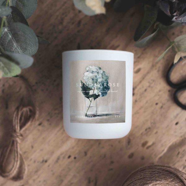 Hydrangea | 034