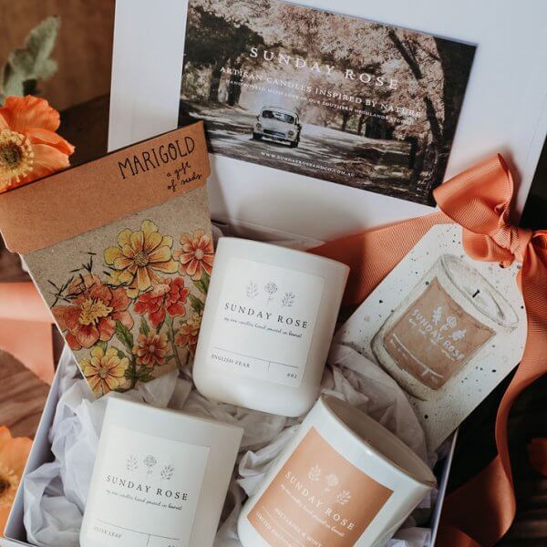 Garden Box