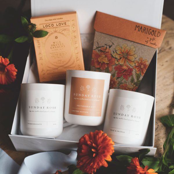 Garden Box