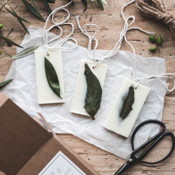 Olive Leaf Scented Wax Tablets