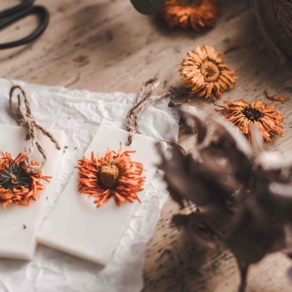 Farmers Market Scented Wax Tablets