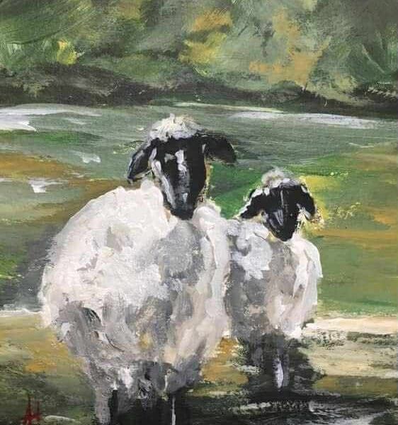 The Sheep